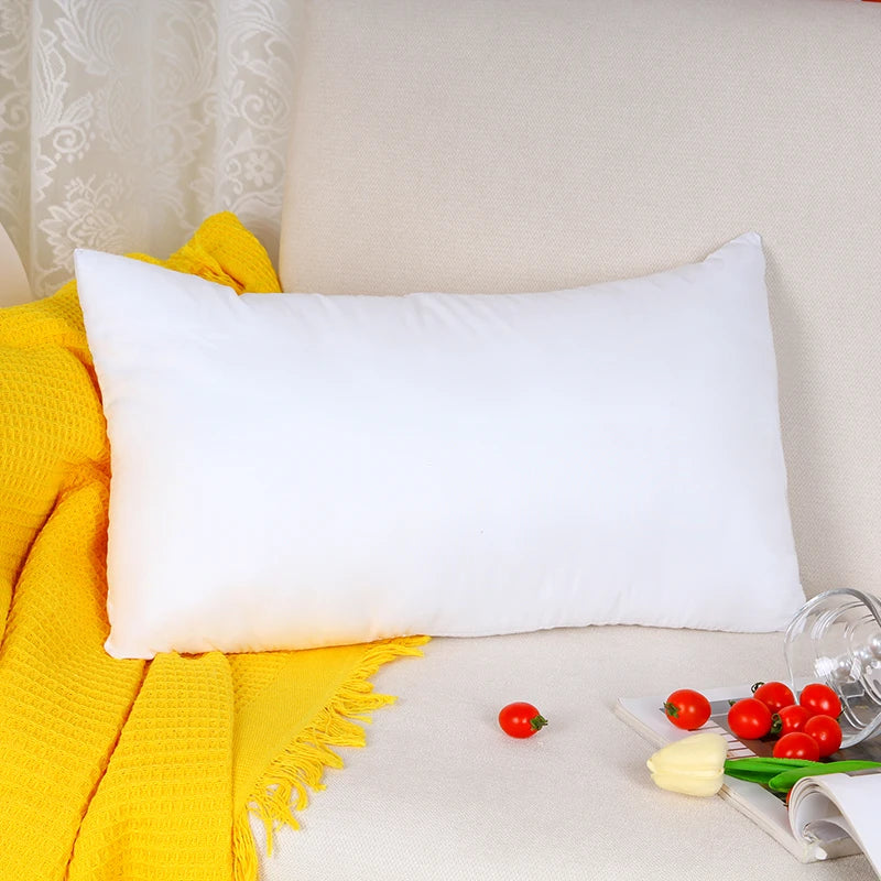 Quality Indoor and Outdoor Home Decoration Sofa Square seat Cushion Backrest Pillow