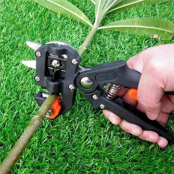 Professional Branch Cutter Secateur Pruning Plant Shears Boxes Fruit Tree Grafting Scissor