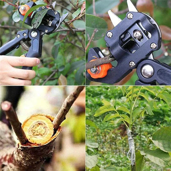 Professional Branch Cutter Secateur Pruning Plant Shears Boxes Fruit Tree Grafting Scissor